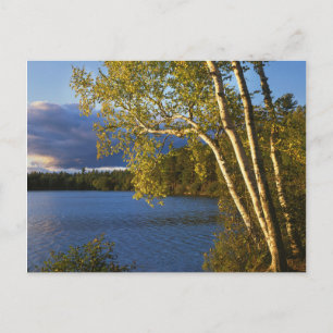 USA, New York, Adirondack Park och naturreservat Vykort
