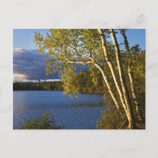 USA, New York, Adirondack Park och naturreservat Vykort (Framsida)