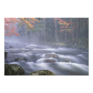 USA, New York, Adirondacks, Big Moose River Fototryck