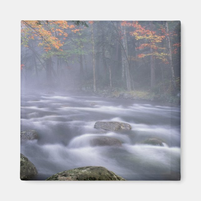 USA, New York, Adirondacks, Big Moose River Magnet (Framsidan)