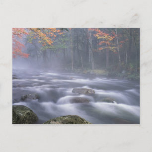 USA, New York, Adirondacks, Big Moose River Vykort