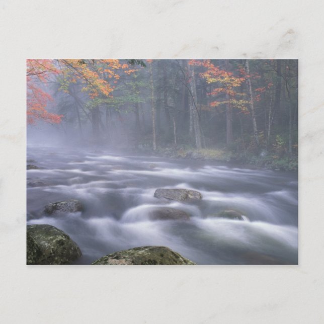 USA, New York, Adirondacks, Big Moose River Vykort (Framsida)