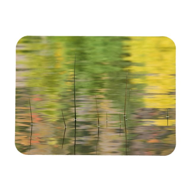 USA, New York, Adirondacks, Reflektioner i vatten Magnet (Horisontell)