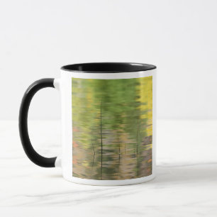 USA, New York, Adirondacks, Reflektioner i vatten Mugg