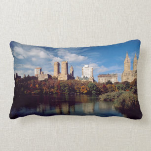 USA, New York City, Central Park, Sjö Lumbarkudde