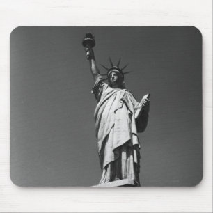 USA New York City frihetsgudinnan Musmatta