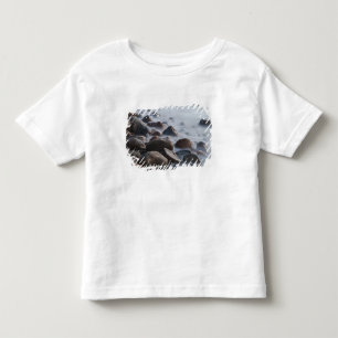 USA, New York, East Hampton. Havsvågor vid T-shirt