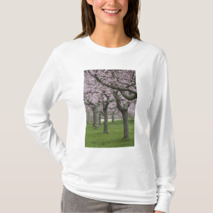 USA, New York, East Hampton. Körsbärsträd i T-shirt