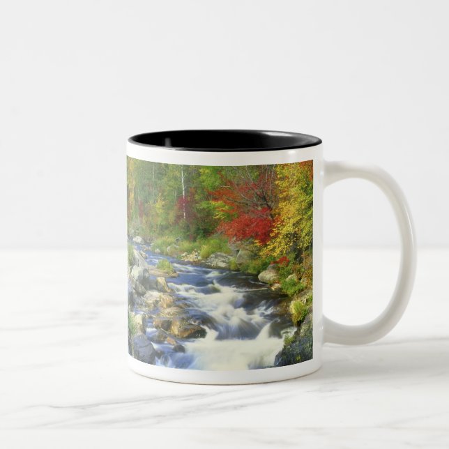 USA, New York. Ett vattenfall i Adirondack Två-Tonad Mugg (Höger)