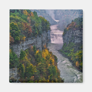 USA, New York, Letchworth State Park. Flod och Magnet
