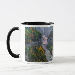 USA, New York, Letchworth State Park. Flod och Mugg
