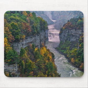 USA, New York, Letchworth State Park. Flod och Musmatta