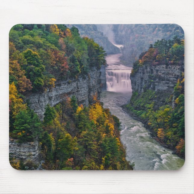 USA, New York, Letchworth State Park. Flod och Musmatta (Framsidan)