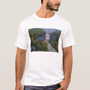 USA, New York, Letchworth State Park. Flod och Tee Shirt