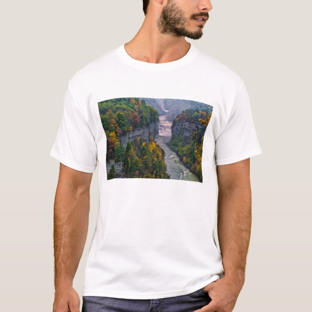 USA, New York, Letchworth State Park. Floden och Tee Shirt (Framsida)