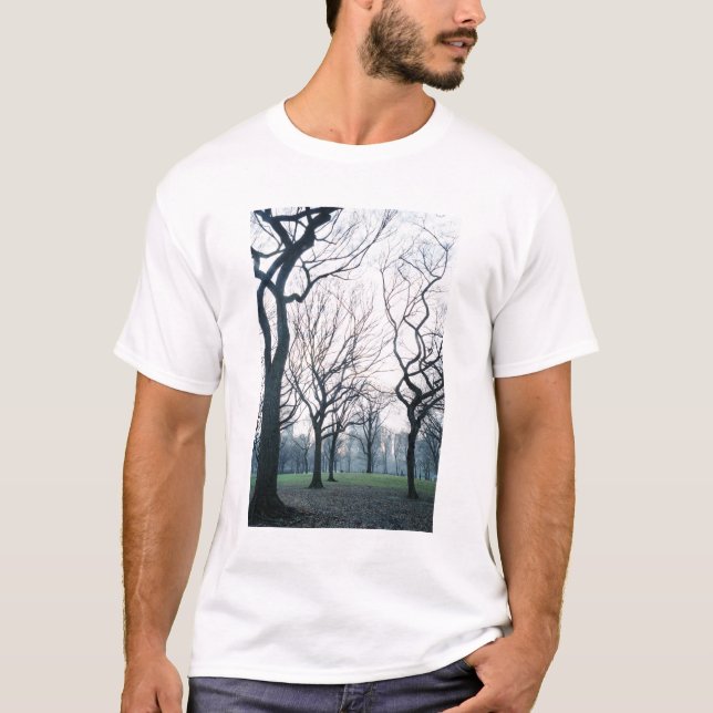 USA, New York, New York City:Central park T-shirt (Framsida)