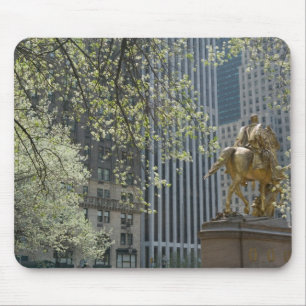 USA, New York, New York City, Manhattan: 16 Musmatta