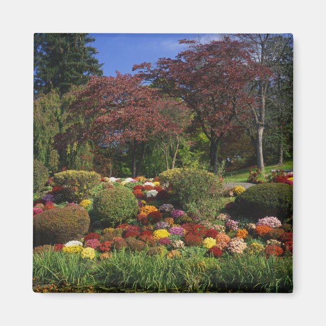 USA, New York, Saugerties, Seamon Park. Höst Magnet (Framsidan)