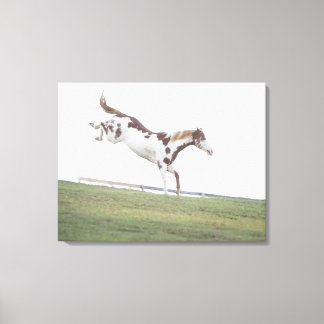 USA, New York State, Hudson, Horse hoppar in Canvastryck