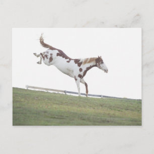 USA, New York State, Hudson, Horse hoppar in Vykort
