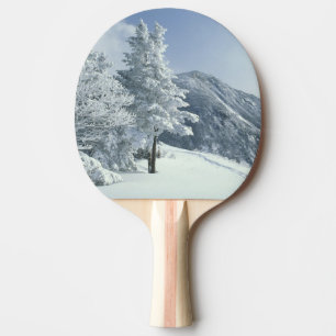 USA, NH, Snötäckta träd Stigar Snöskor Pingisracket