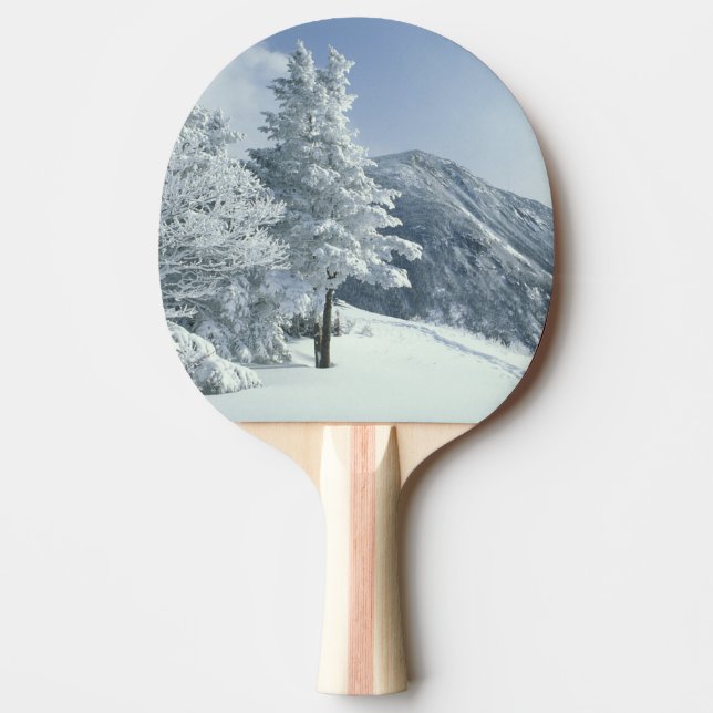 USA, NH, Snötäckta träd Stigar Snöskor Pingisracket (Framsidan)