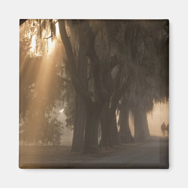USA; Nordamerika; Georgia; Savannah. Pojkar Magnet (Framsidan)