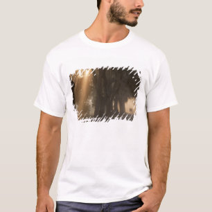 USA; Nordamerika; Georgia; Savannah. Pojkar T Shirt