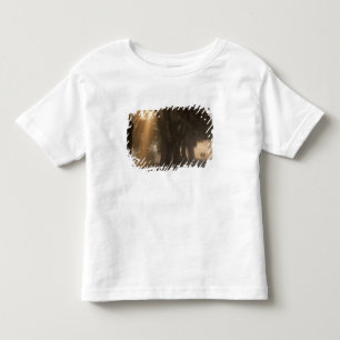 USA; Nordamerika; Georgia; Savannah. Pojkar Tee
