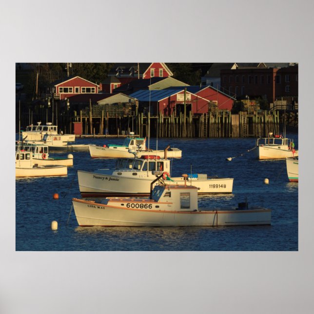 USA, Nordamerika, Maine, Bernard, Fiske Poster (Framsidan)