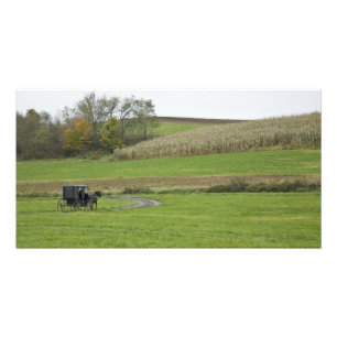 USA, nordöstra Ohio. Amish hästvagn på bondgård Fototryck