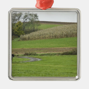 USA, nordöstra Ohio. Amish hästvagn på bondgård Julgransprydnad Metall