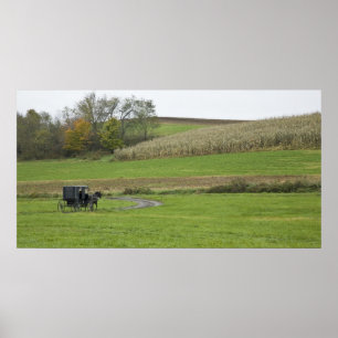 USA, nordöstra Ohio. Amish hästvagn på bondgård Poster