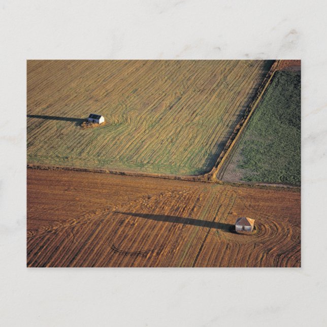 USA, North Dakota, Washburn. Sena ljusstrålar Vykort (Framsida)