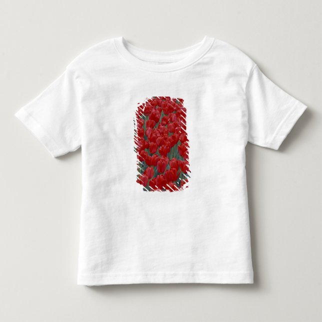 USA, Ohio, Cincinnati. Rabatt med röda tulpaner T-shirt (Framsida)