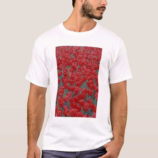 USA, Ohio, Cincinnati. Rabatt med röda tulpaner T-shirt (Framsida)