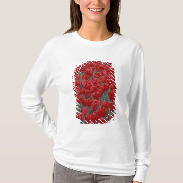 USA, Ohio, Cincinnati. Rabatt med röda tulpaner Tee (Framsida)