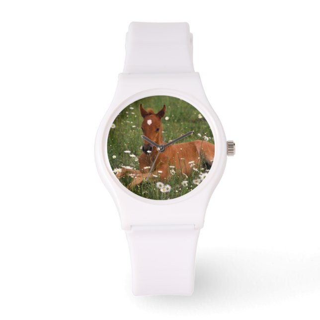 USA, Oregon, arabhäst. Armbandsur (Framsida)