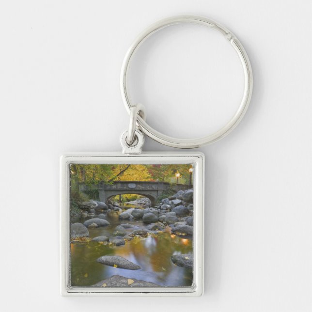 USA, Oregon, Ashland, Lithia Park. Höst Fyrkantig Silverfärgad Nyckelring (Framsidan)
