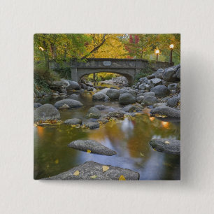 USA, Oregon, Ashland, Lithia Park. Höst Knapp