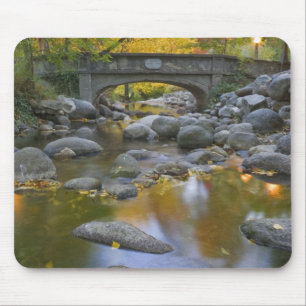 USA, Oregon, Ashland, Lithia Park. Höst Musmatta