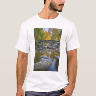 USA, Oregon, Ashland, Lithia Park. Höst T-shirt