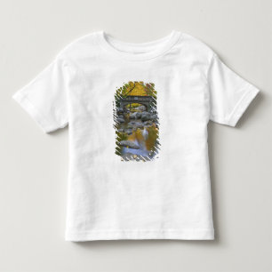 USA, Oregon, Ashland, Lithia Park. Höst Tee Shirt