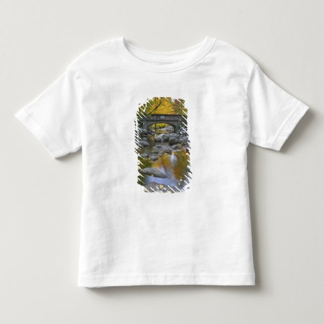 USA, Oregon, Ashland, Lithia Park. Höst Tee Shirt (Framsida)