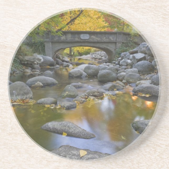 USA, Oregon, Ashland, Lithia Park. Höst Underlägg Sandsten (Framsidan)