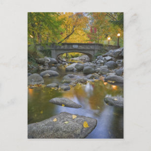 USA, Oregon, Ashland, Lithia Park. Höst Vykort