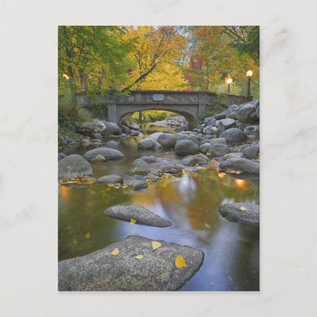 USA, Oregon, Ashland, Lithia Park. Höst Vykort (Framsida)