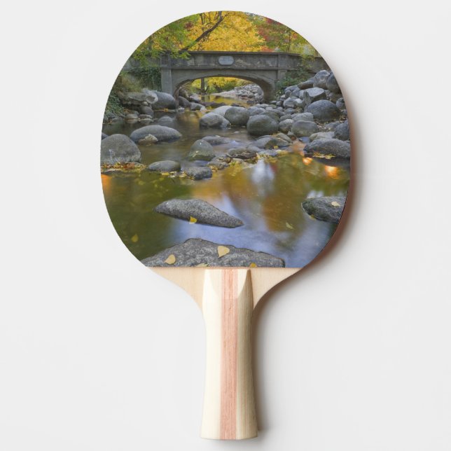 USA, Oregon, Ashland, Lithia Park.Hösten Pingisracket (Framsidan)