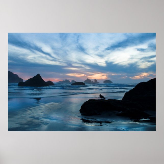 USA, Oregon, Bandon Beach. Fiskmås vid sten Poster (Framsidan)