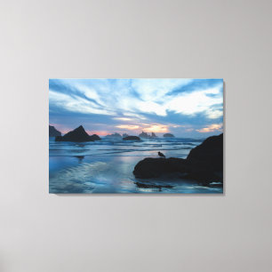 USA, Oregon, Bandon Beach. Måse på sten Canvastryck